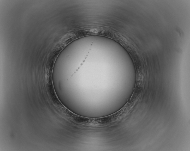 X0000113150656200909181751