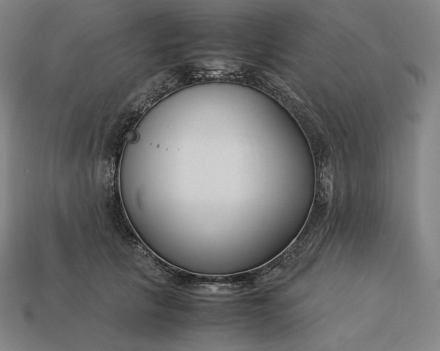 X0000113150657200909181751