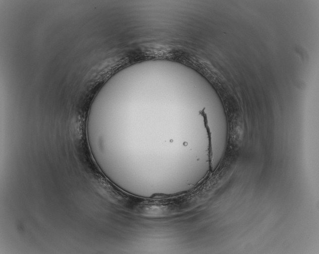 X0000113150658200909181751