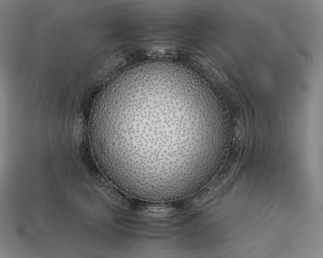 X0000113150659200909181751