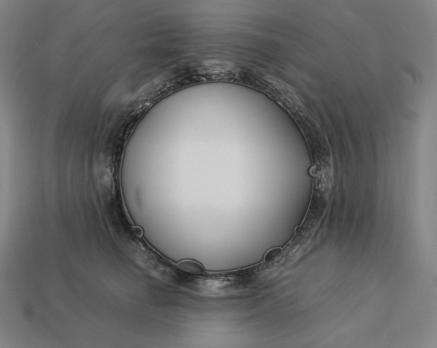 X0000113150662200909181751