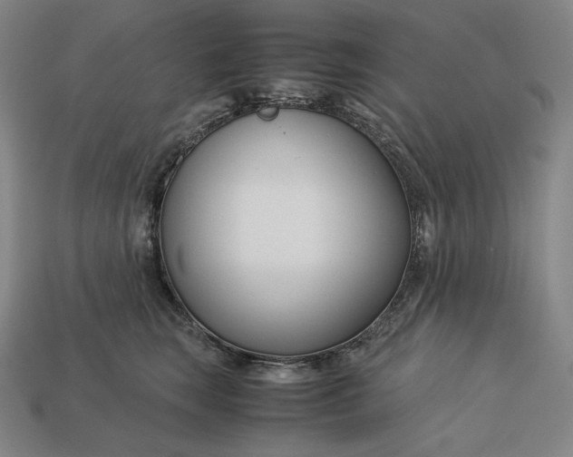 X0000113150663200909181751