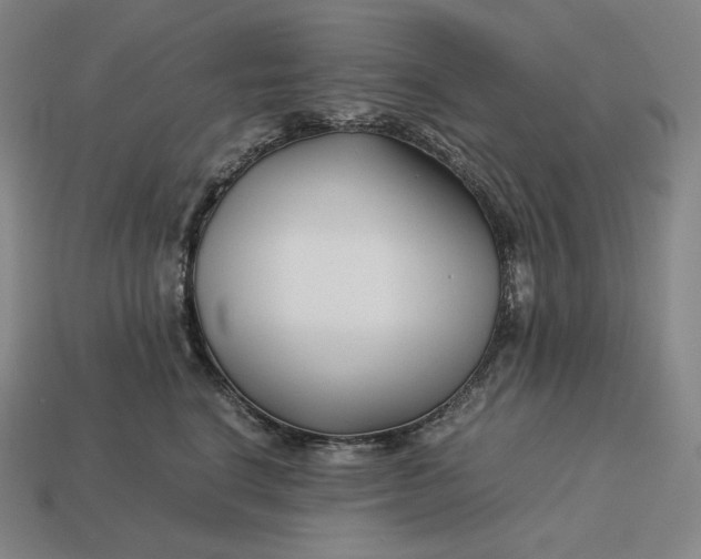 X0000113150664200909181751