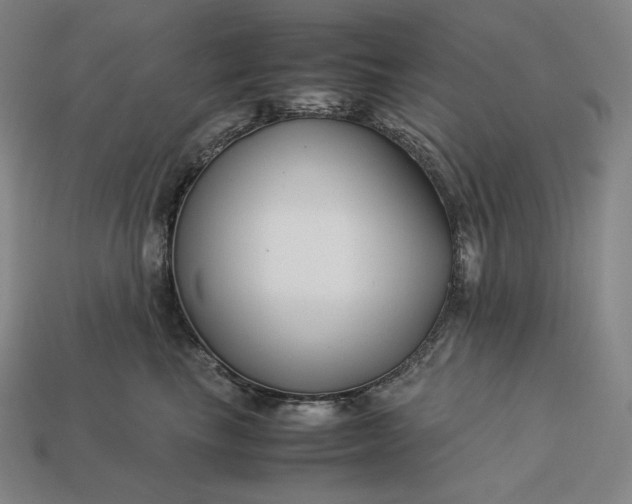 X0000113150665200909181751