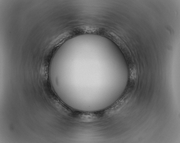 X0000113150666200909181751