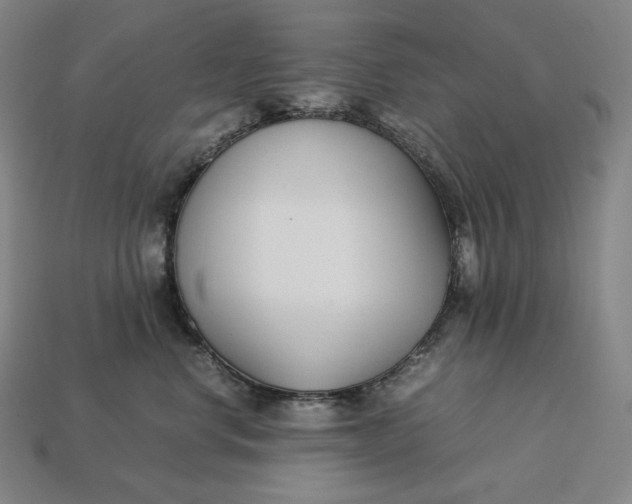 X0000113150668200909181751