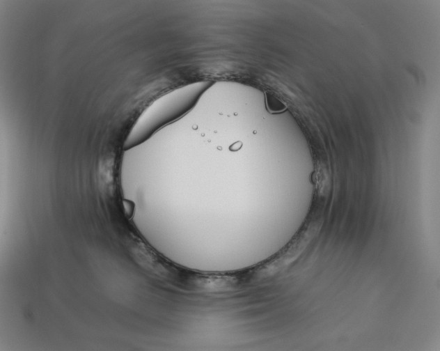 X0000113150670200909181751