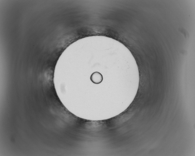 X0000113150672200909181751