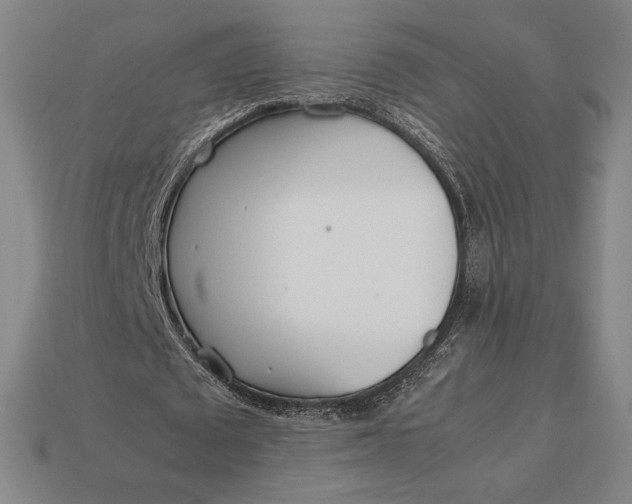 X0000113150673200909181751