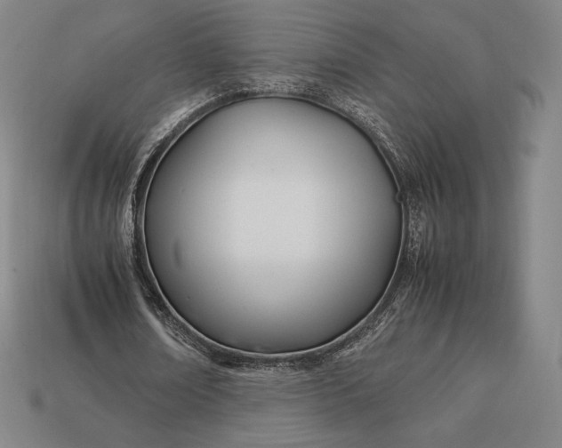 X0000113150674200909181751