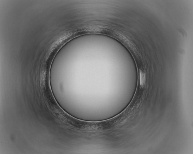 X0000113150675200909181751