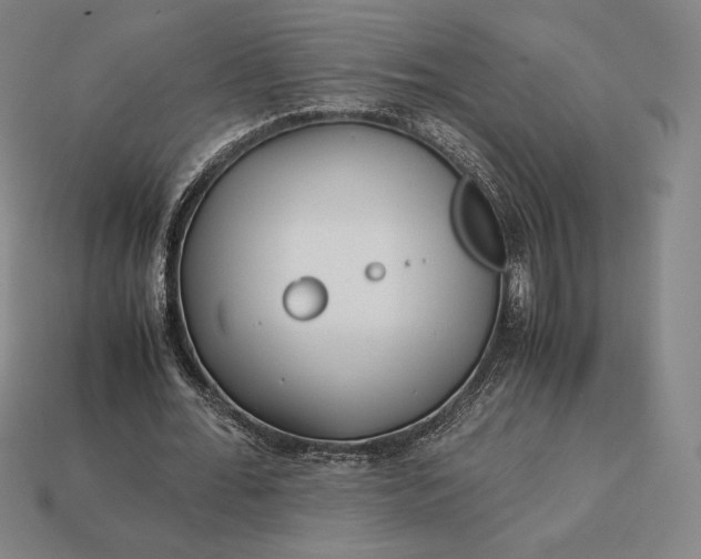 X0000113150676200909181751