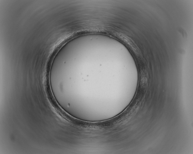 X0000113150677200909181751