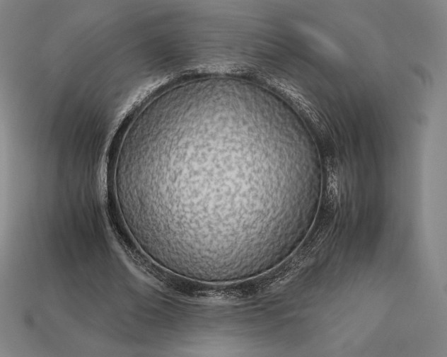 X0000113150678200909181751