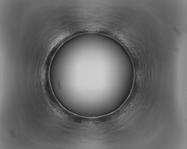 X0000113150679200909181751