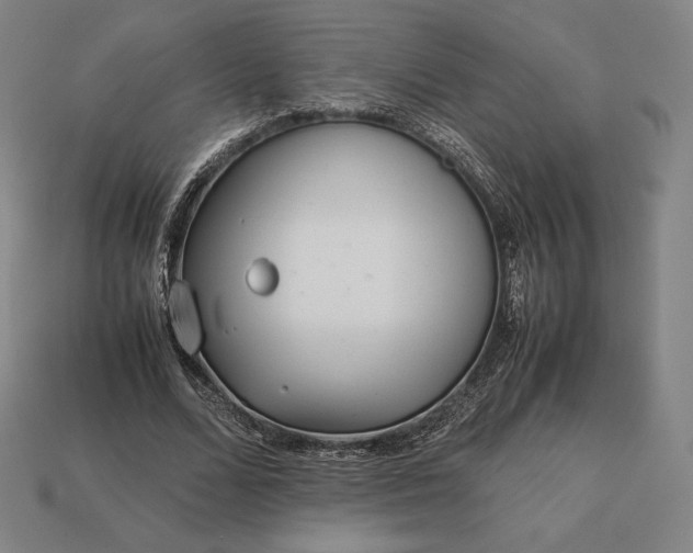 X0000113150680200909181751