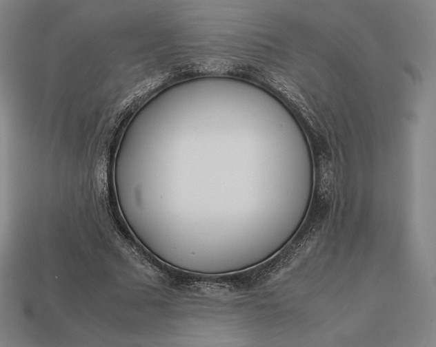 X0000113150681200909181751