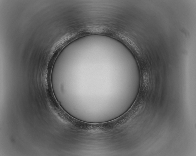 X0000113150682200909181751