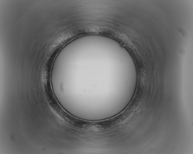 X0000113150683200909181751