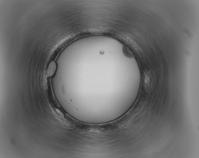 X0000113150684200909181751