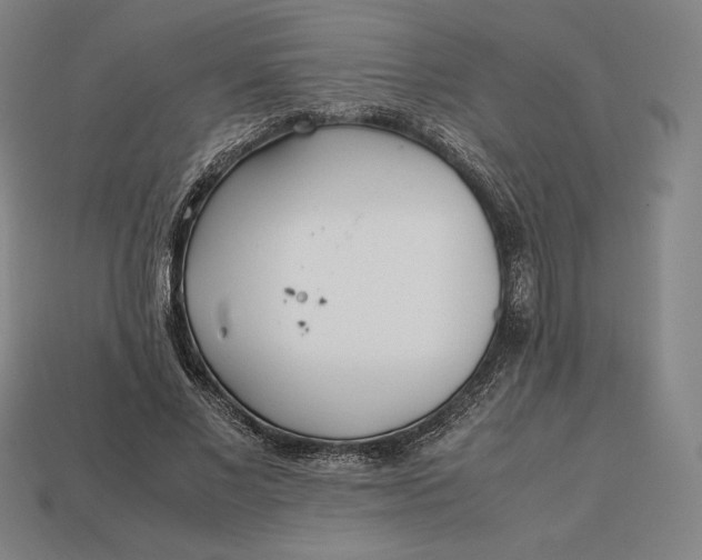 X0000113150685200909181751