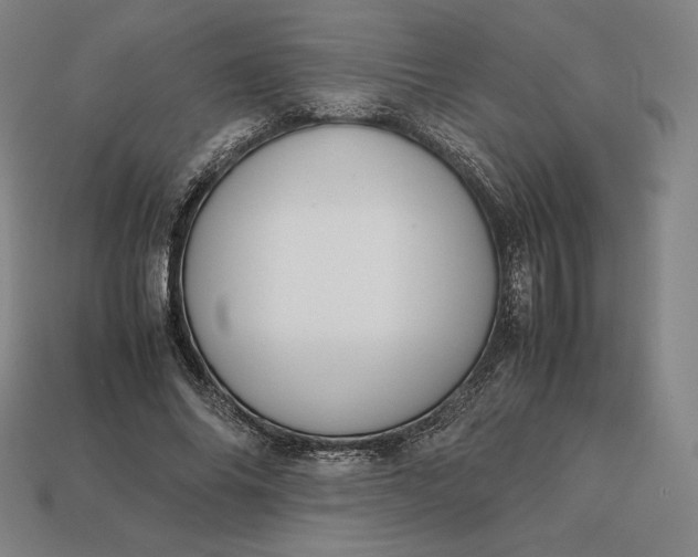 X0000113150686200909181751