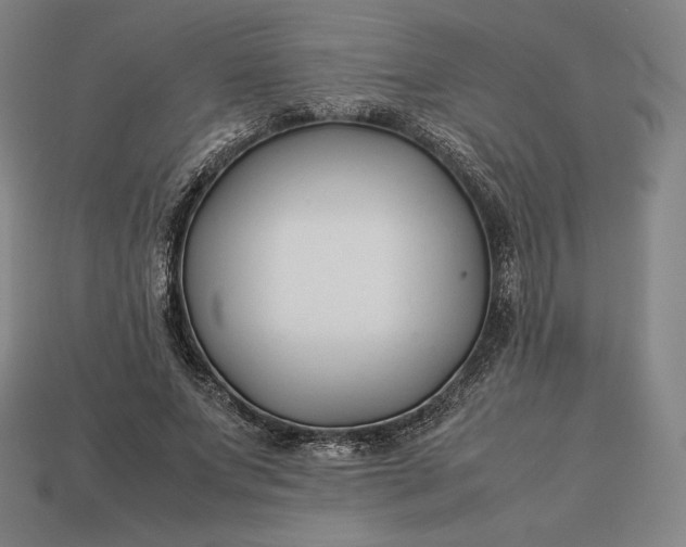 X0000113150687200909181751