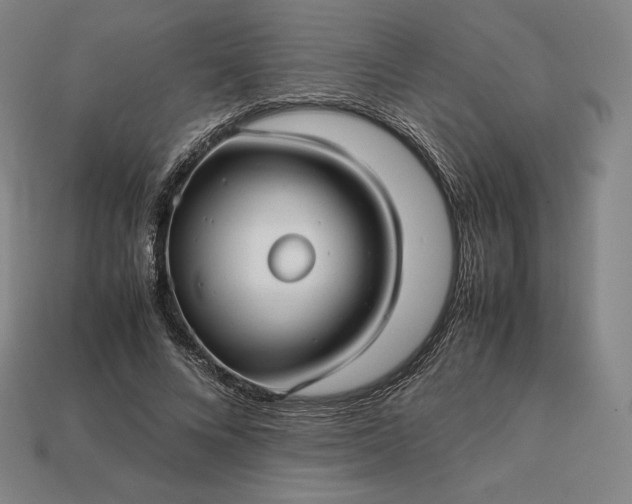 X0000113150688200909181750