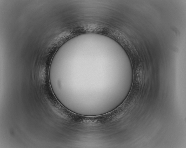 X0000113150690200909181750