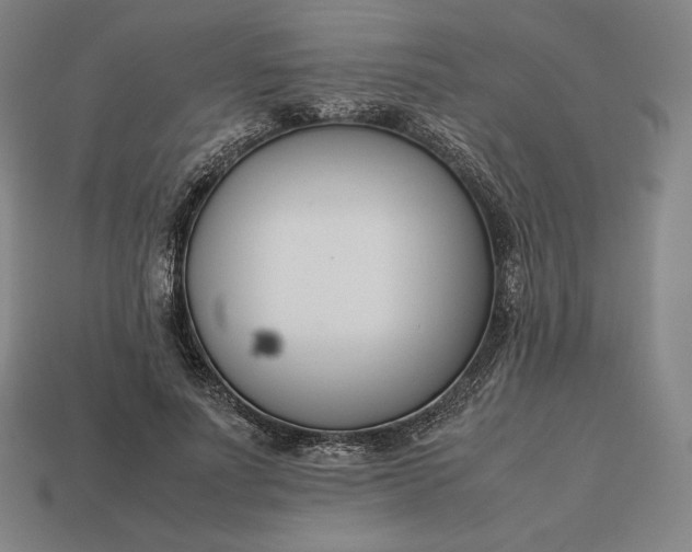 X0000113150691200909181750