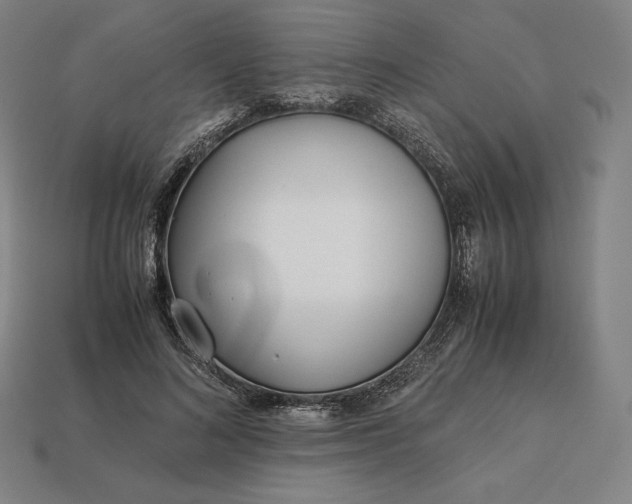 X0000113150692200909181750