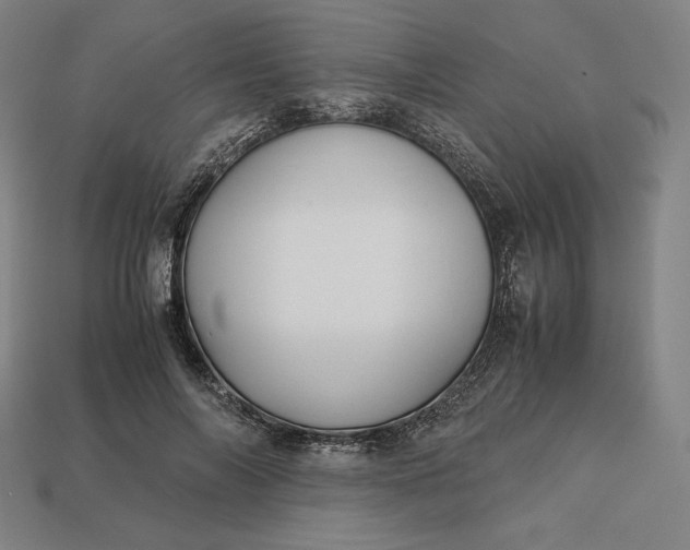 X0000113150694200909181750