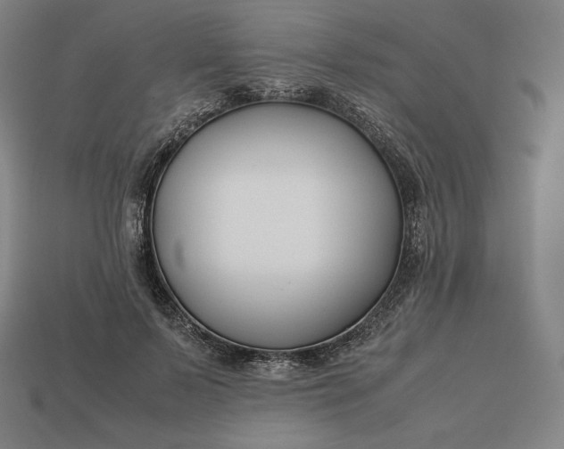 X0000113150695200909181750