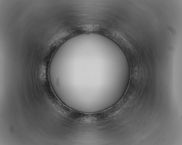 X0000113150696200909181750