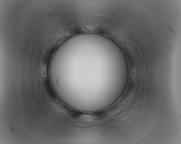 X0000113150699200909181750