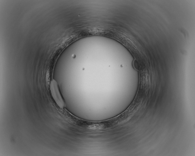 X0000113150700200909181750