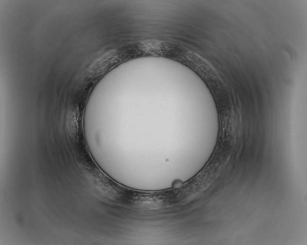 X0000113150702200909181750