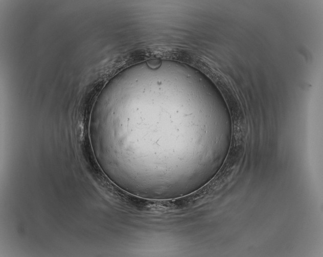 X0000113150703200909181750