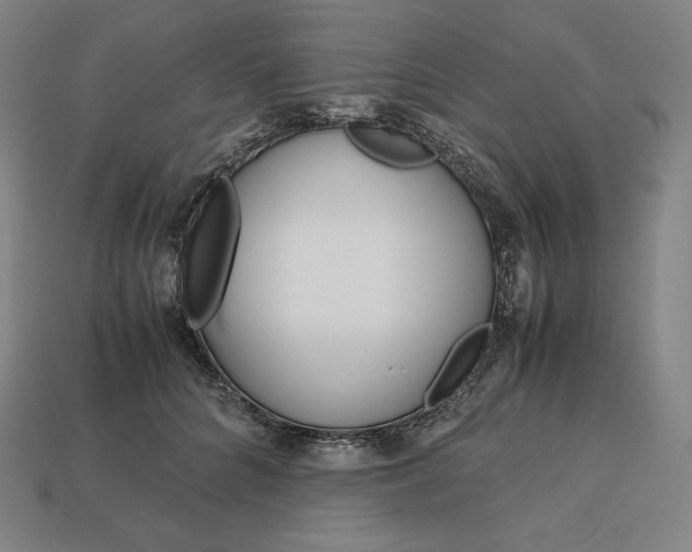 X0000113150704200909181750