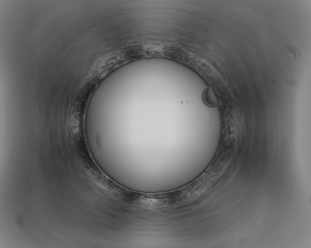 X0000113150706200909181750