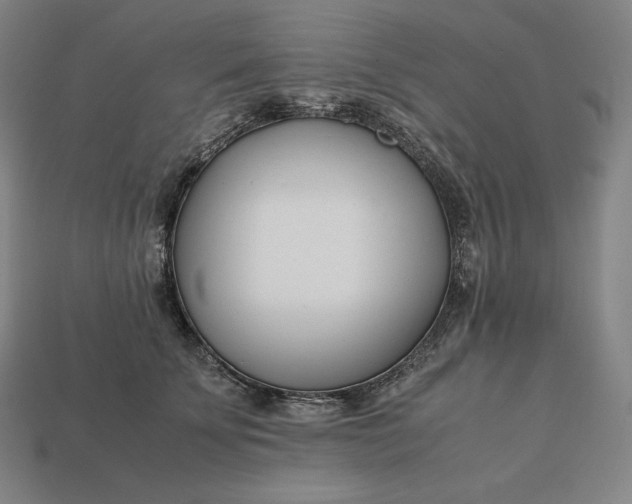 X0000113150707200909181750