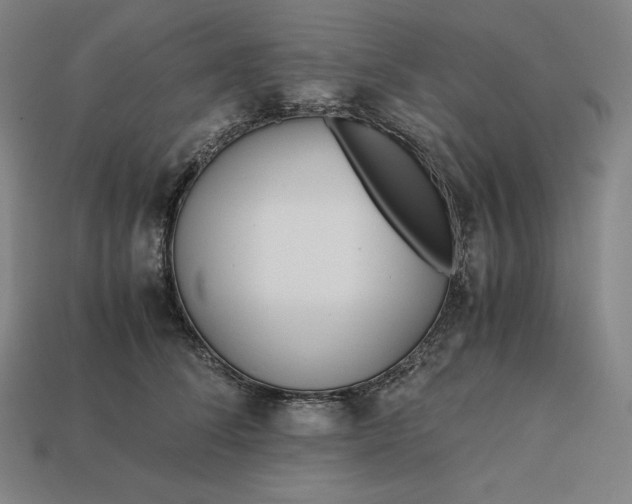 X0000113150708200909181750