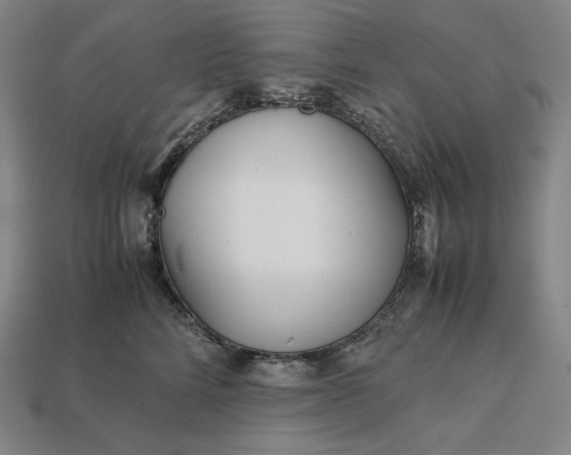 X0000113150712200909181750