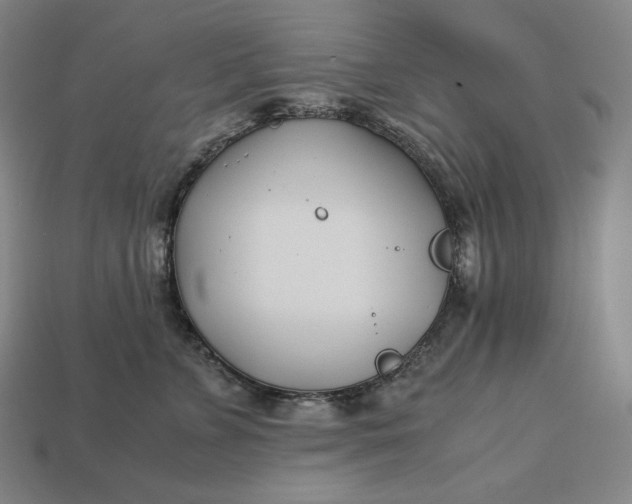 X0000113150715200909181750