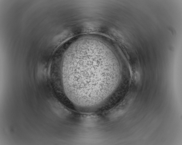 X0000113150716200909181750