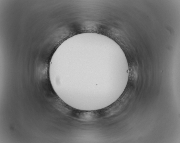 X0000113150717200909181750