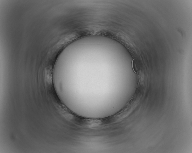 X0000113150719200909181750