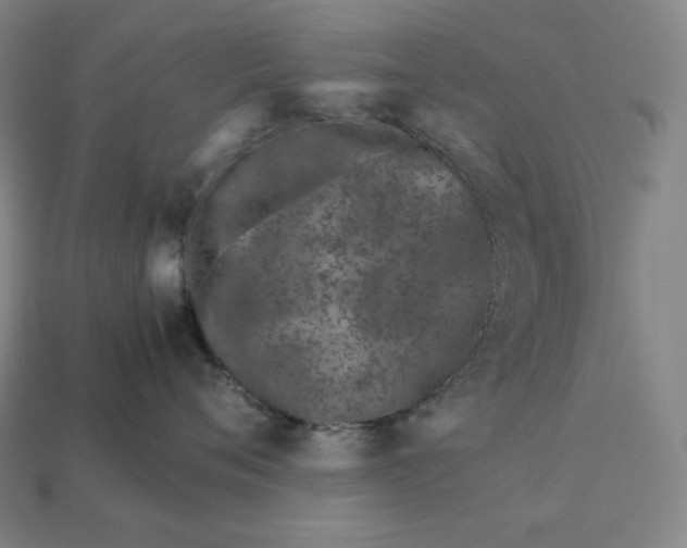 X0000113150720200909181750