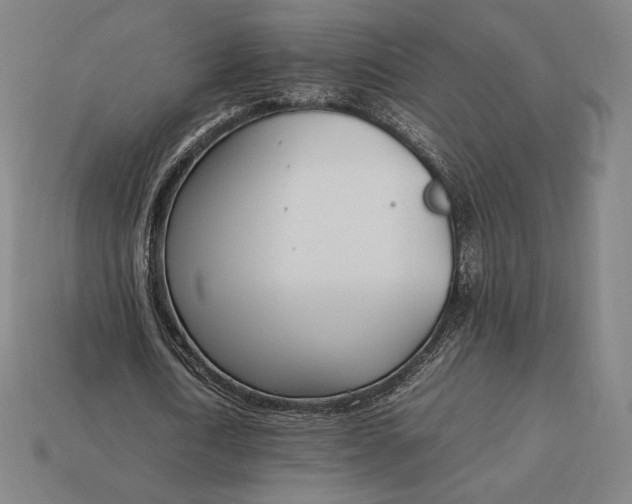 X0000113150722200909181749