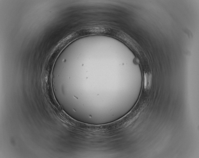 X0000113150723200909181749